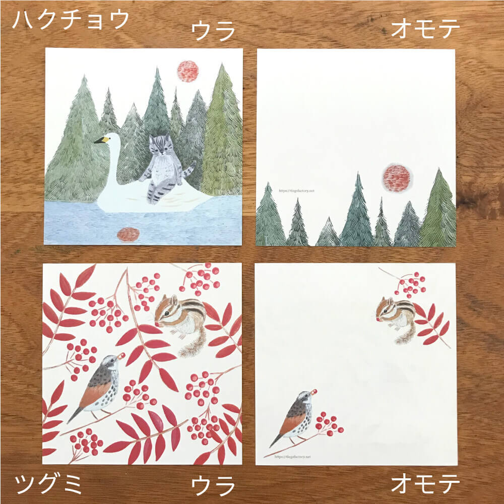 4Legs | Set de Papeles Memo Wild Birds - Image 10