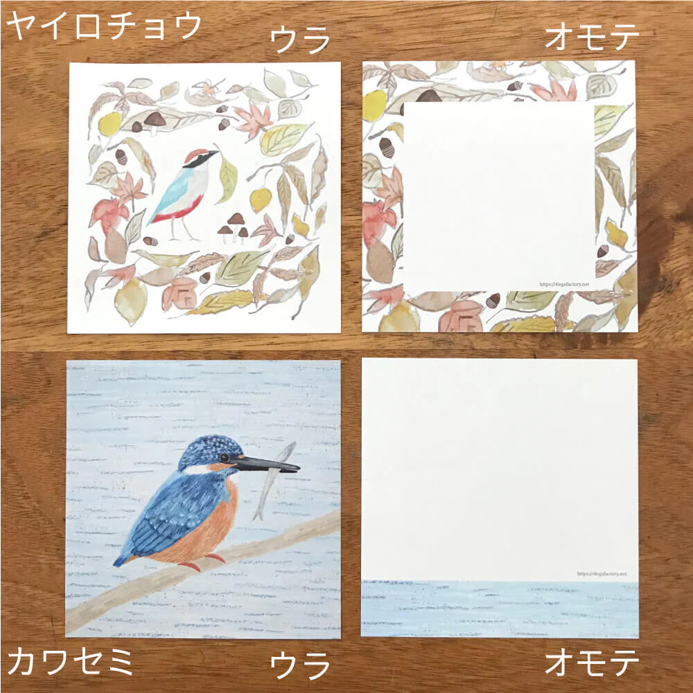 4Legs | Set de Papeles Memo Wild Birds - Image 7