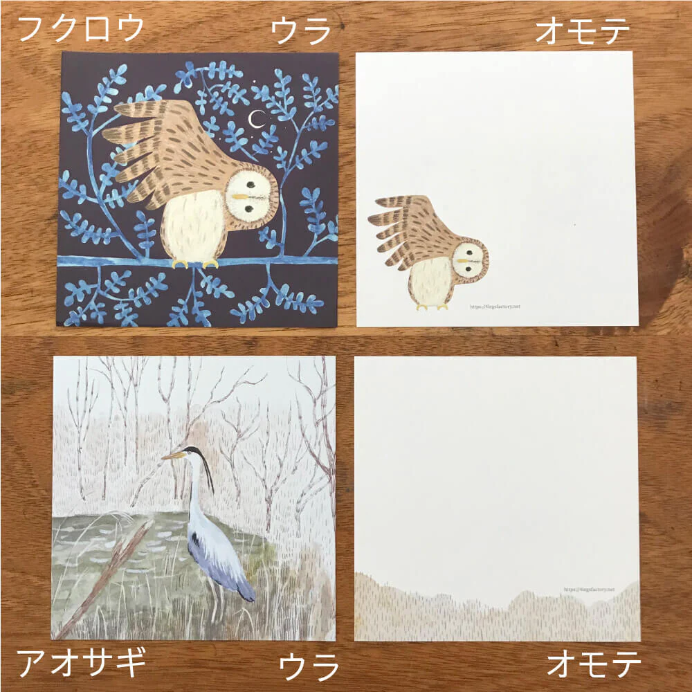 4Legs | Set de Papeles Memo Wild Birds - Image 9