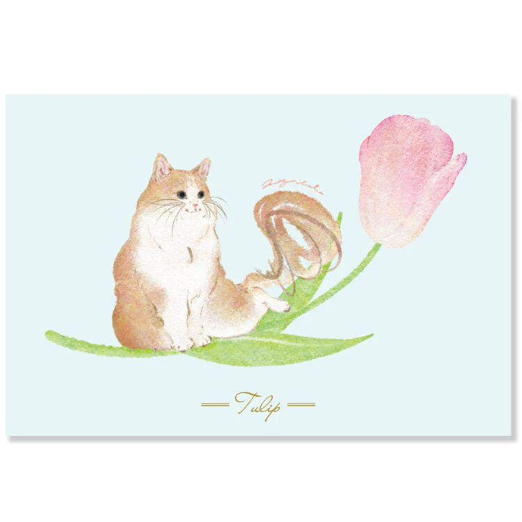 Active | Postal Metty Bebe Tulip
