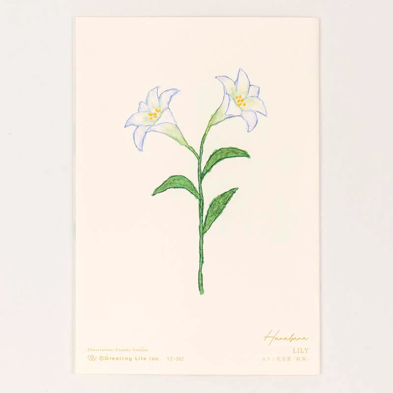 Greeting Life | Tarjeta de Felicitación Anniversary Flower Lily - Image 4