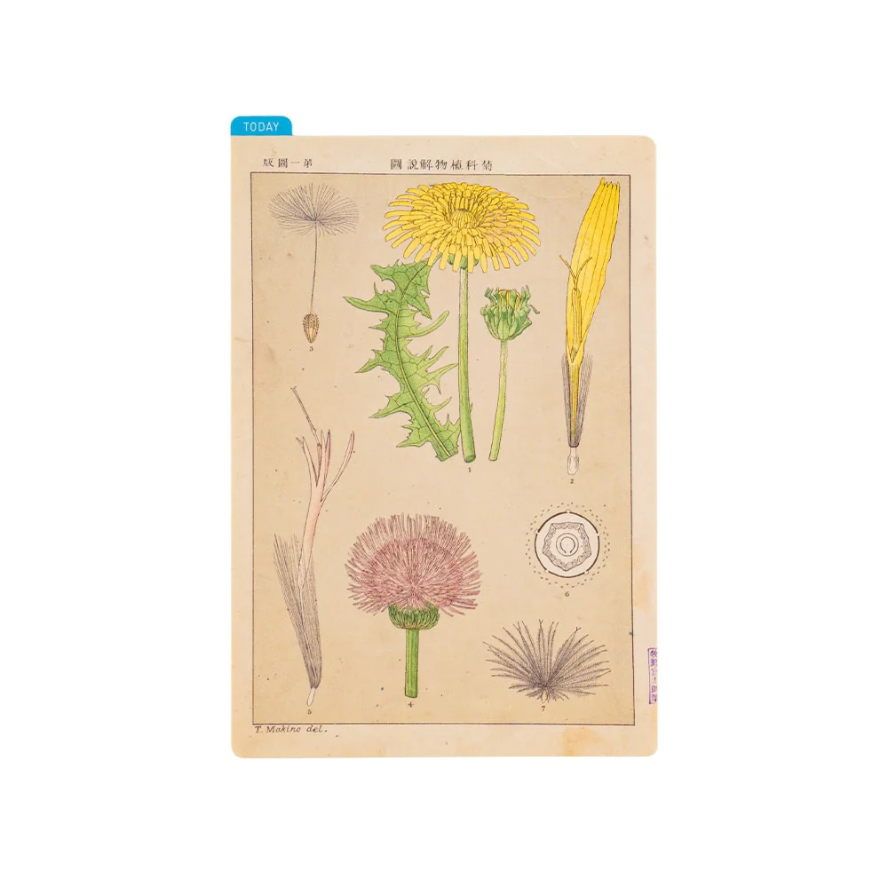 Hobonichi | Plantilla de Escritura Pencil Board A6 Tomitaro Makino