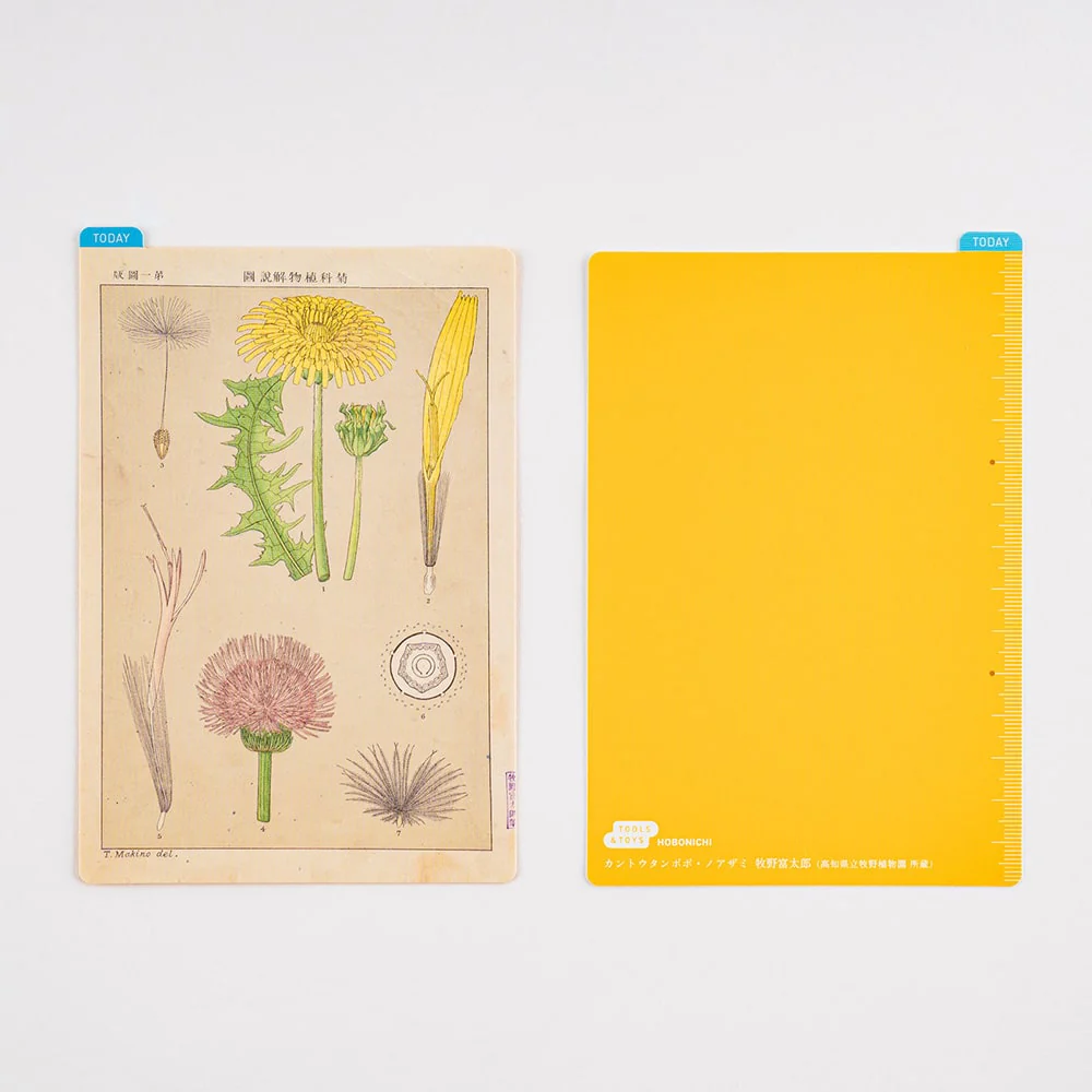 Hobonichi | Plantilla de Escritura Pencil Board A6 Tomitaro Makino - Image 2
