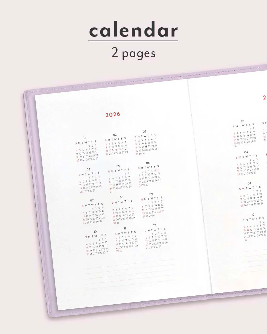 Iconic | Agenda The Planner L 2026 Steel Blue (Mensual) - Image 7
