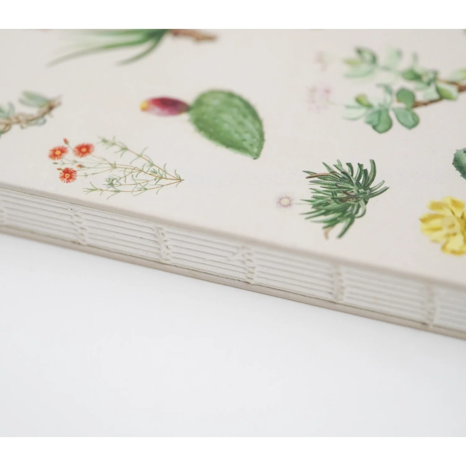 Kokonote | Cuaderno Artesanal A5 Botanical Cacti - Image 3