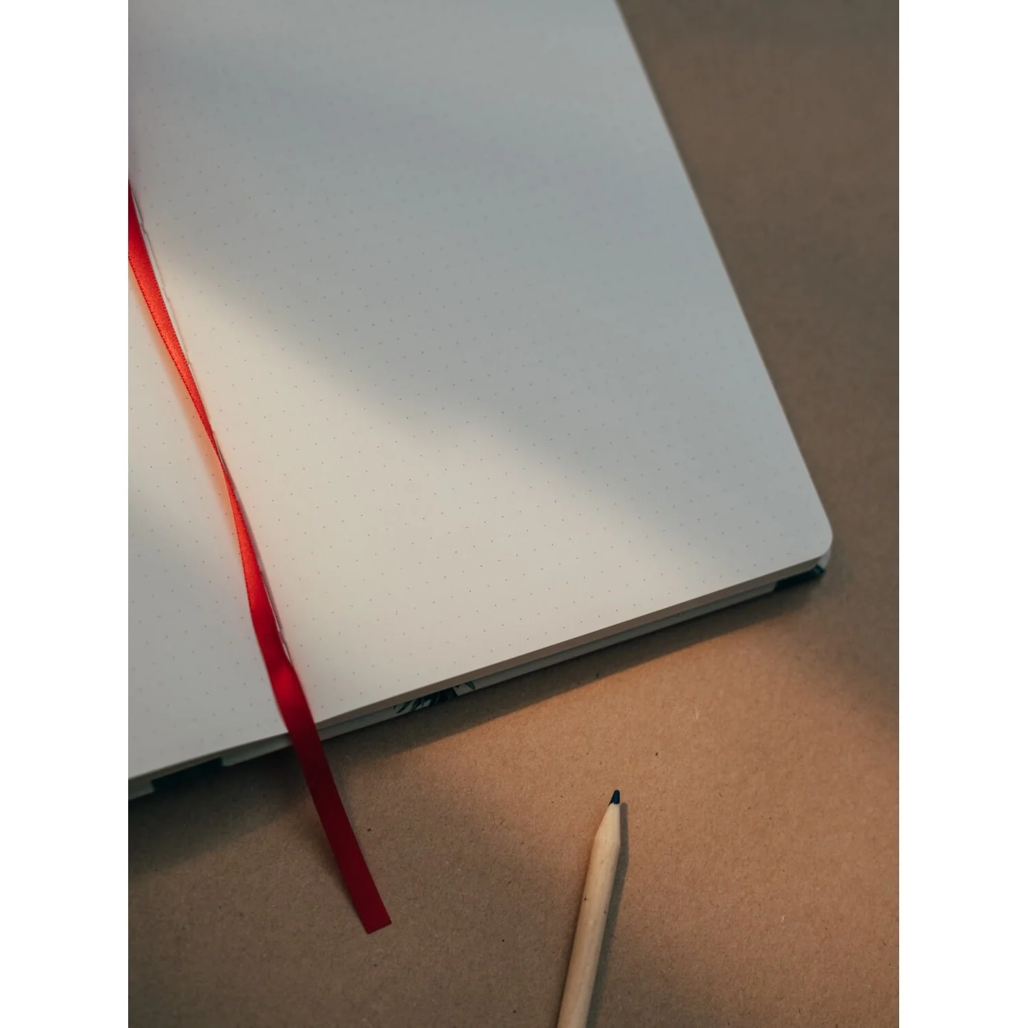 Kokonote | Cuaderno Artesanal A5 Botanical Cacti - Image 5