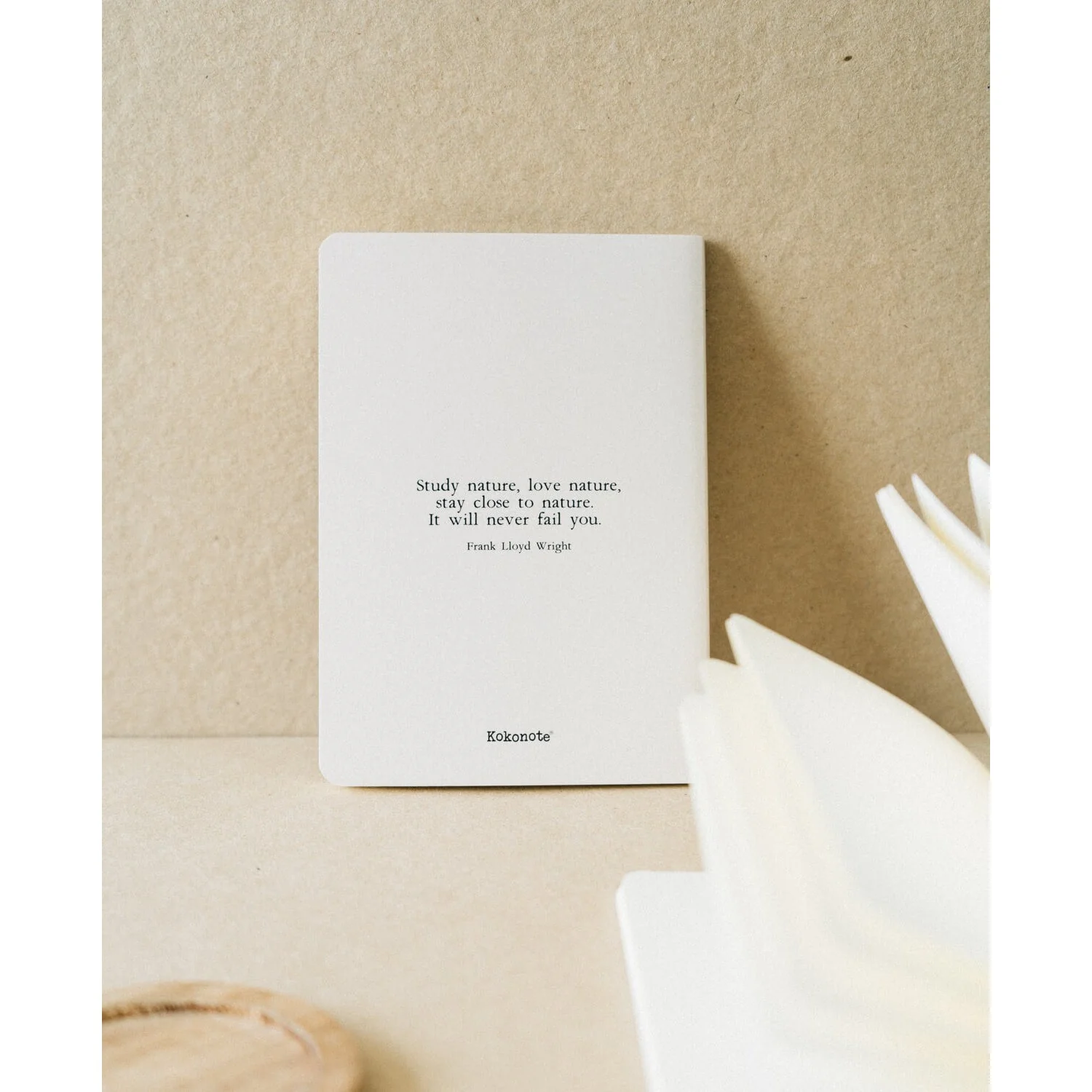 Kokonote | Pack de 3 Cuadernos A6 Botanical Wild Flowers - Image 6