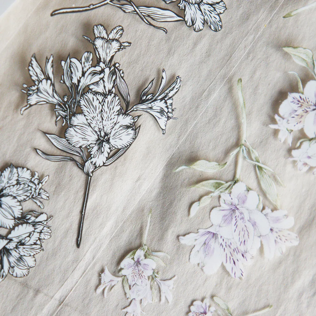 Loi Design | Small Bouquet Clear PET Tape - Image 5