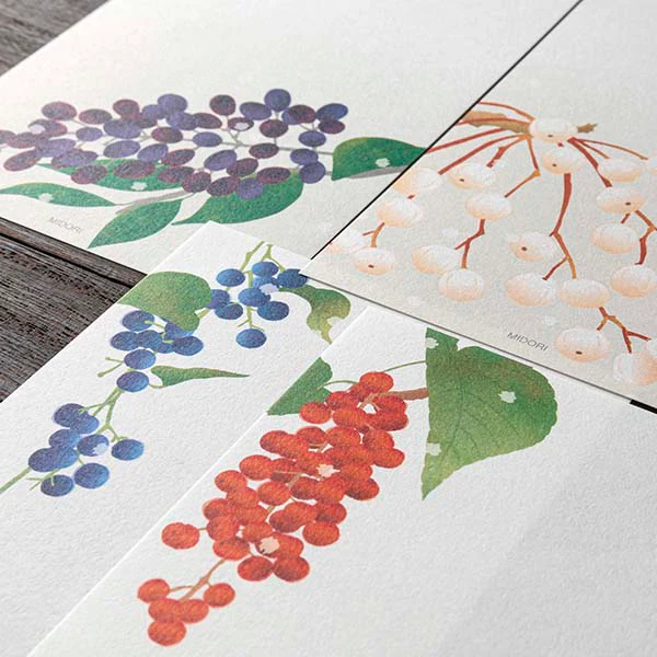 Midori | Bloc de Notas Vertical Four Winter Fruit - Image 4