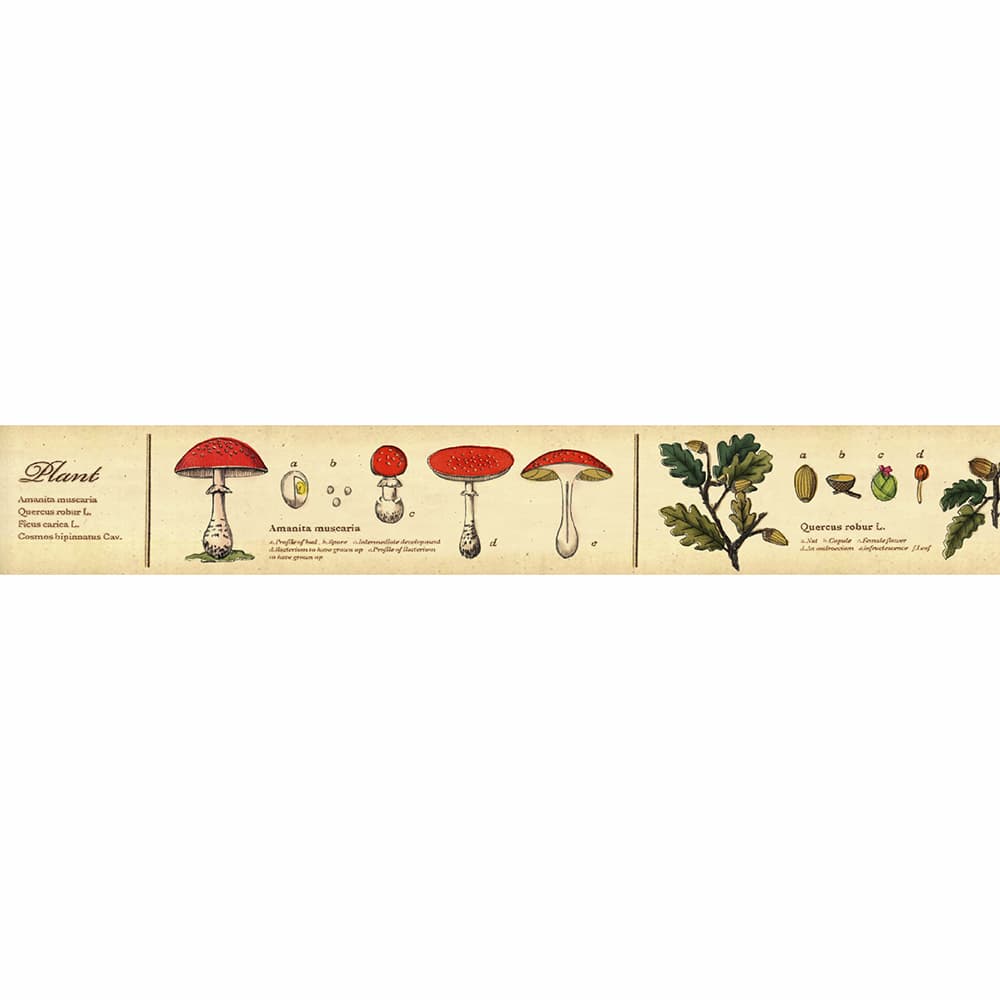 MT Masking Tape | Encyclopedia Plant Washi Tape - Image 3