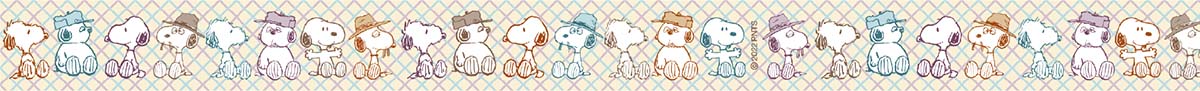 MT Masking Tape | Peanuts Snoopy Brothers Washi Tape - Image 3