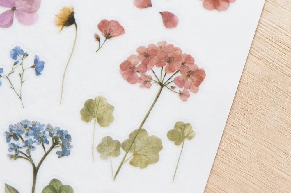 MU LifeStyle | Pegatinas Transferibles 194 Floral Classes - Image 2