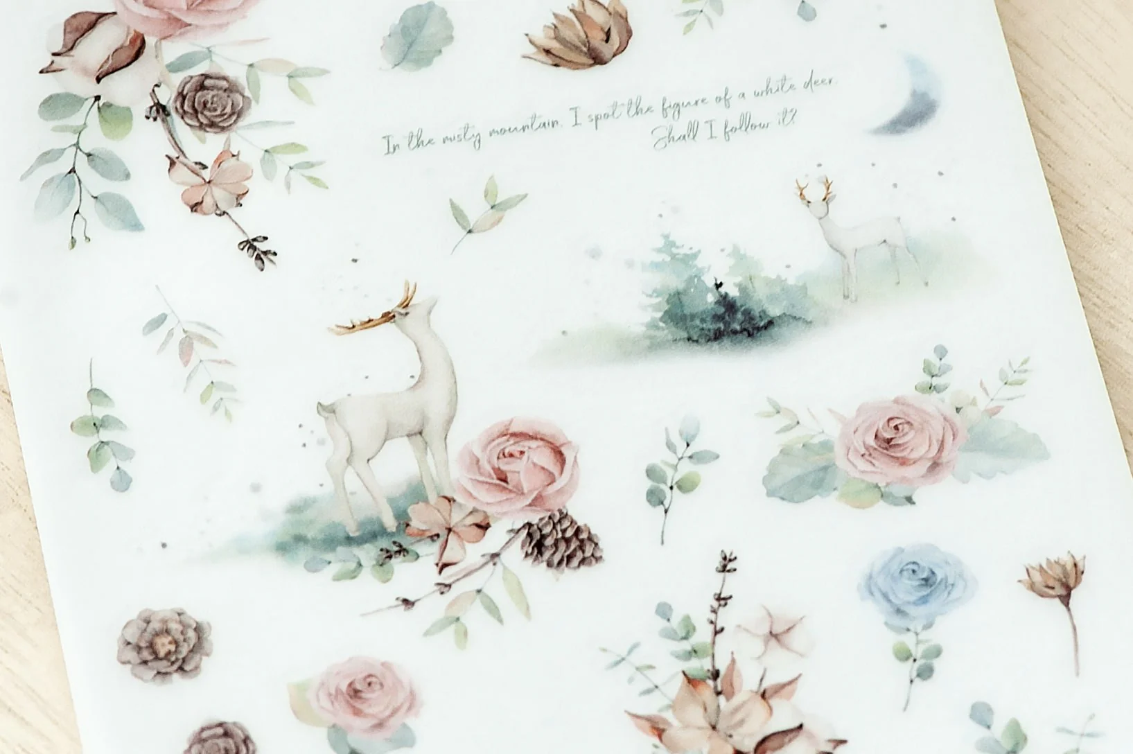 MU LifeStyle | Pegatinas Transferibles 208 Frozen Roses - Image 2