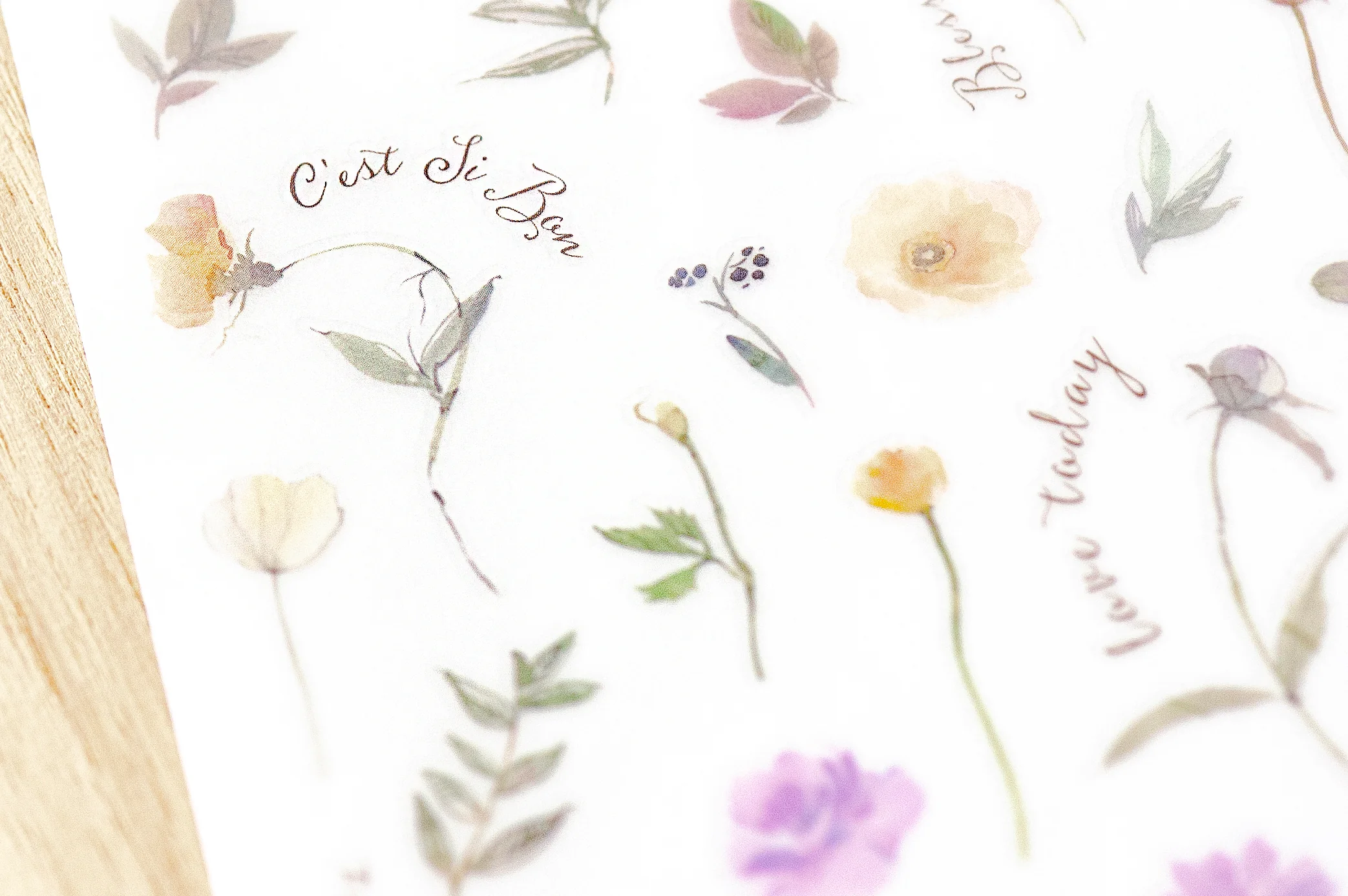 MU LifeStyle | Pegatinas Transferibles 249 Beautiful Inspiration - Image 3
