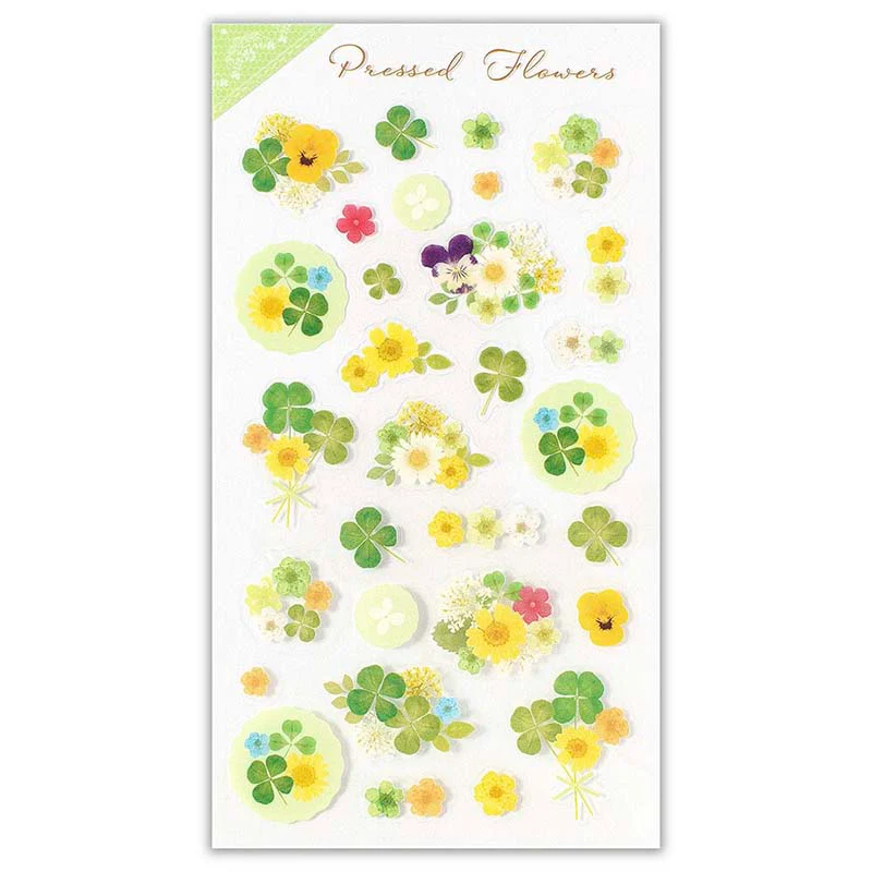 NB CO | Pegatinas Pressed Flowers Clover - Image 3