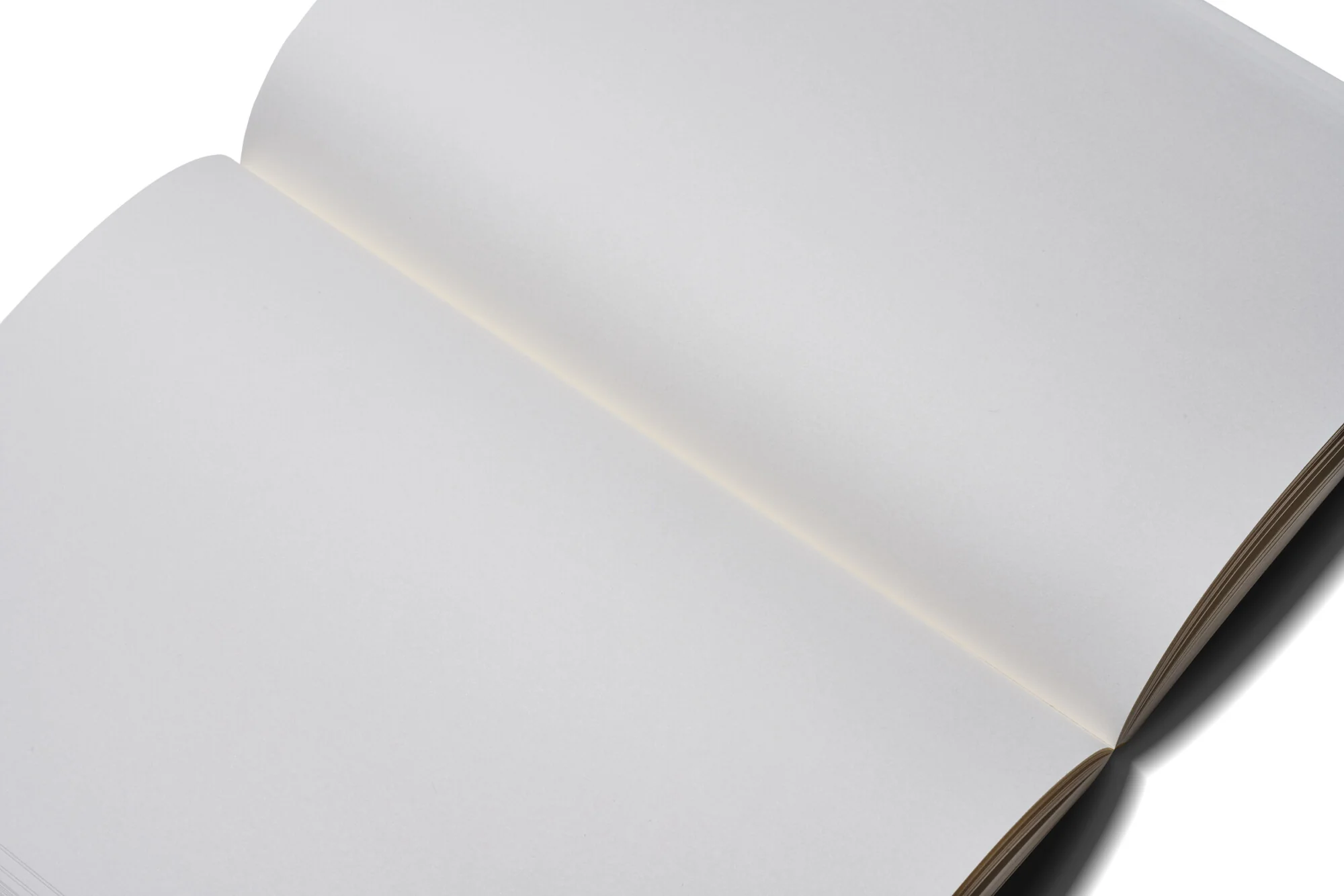 Zequenz | Cuaderno The Color A7 Fern (Liso) - Image 3